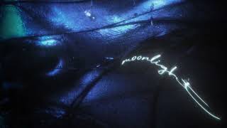 Serhat Kanat - Moonlight