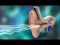 Functions of the Ear and Hearing