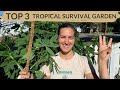 Tropical Survival Garden Knowledge