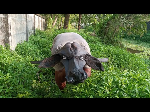 Amazing art work with using coconut leaf stem 💥🐃|#diy#cocnutartwork