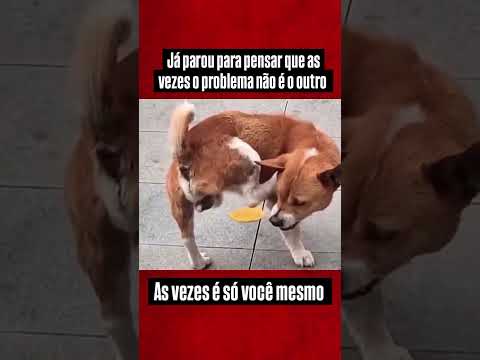 Será mesmo que é o outro?