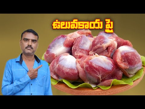 ఉలువకాయ ఫ్రీ  # || Gizzards fry