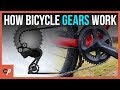 Bicycle Gear Systems and Setup