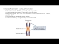 Chromatin Structure and Function