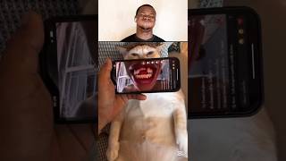 Try Not To Laugh (Hard) 😂😂 #trynottolaugh #funny #shorts