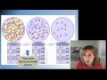 Evolutionary Mechanisms and Genetic Concepts