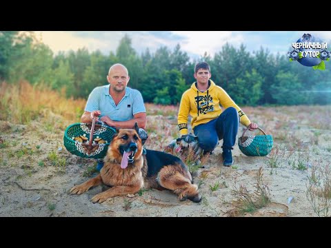 Живём на природе и питаемся тем, что дарит нам она. Погреб можно использовать, но надо его окультурить