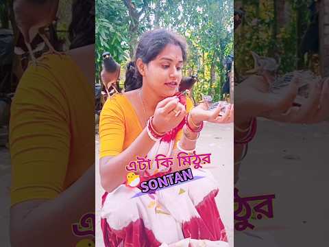 Amar Mithu🐦 Tusu Baba Ma Hoyegelo |আমার টুসু মিঠু বাবা মা হয়ে গেল|Mini Vlog|#shorts #minivlog #vlog