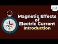 Magnetism and Electric Current Concepts