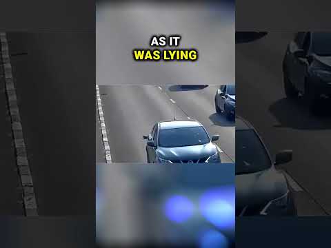 This kitten got stuck in heavy traffic but then this happened!😌💖😇