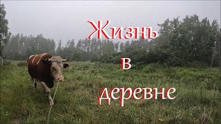 Отвечаю на вопросы. Часть 2. Жизнь на Лесном Хуторе.