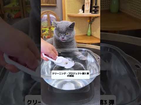 Sound on 👌😸