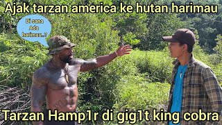 MOMEN TARZAN AMERICA NYAR1S DI GIG1T ULAR KING COBRA SAAT PELEPASAN DI HUTAN HARIMAU