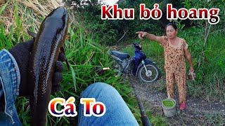 khu quy hoạch bỏ hoang toàn cá khủng | THÚ VUI MIỀN TÂY. 58