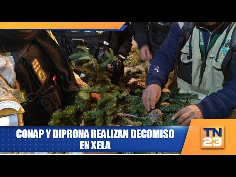 CONAP y DIPRONA realizan decomiso en Xela