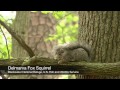 Exploring Wildlife Conservation Concepts