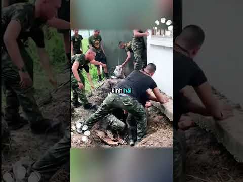 Khám phá: Con tr.ăn khổng lồ #shorts #xuongchetao