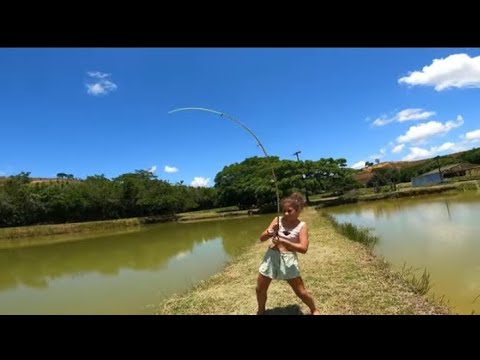 ESSE PEIXE QUASE ARANCOU MEU BRAÇO DE TÃO GRANDE FOI SENSACIONAL.