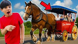 PASEAMOS A CABALLO EN SAN ANTONIO EN NUESTRAS VACACIONES  | Family Juega