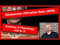 Exploring Glomerular Filtration Rate and Kidney Function