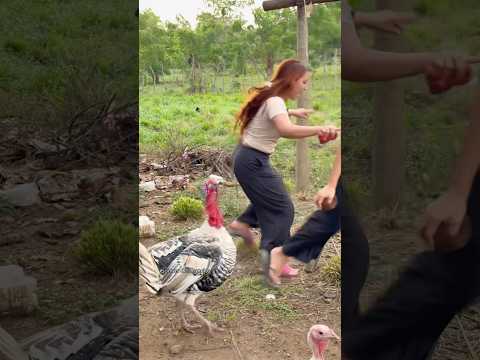 El pavo ya no nos quiere dejar grabar.😅🦃