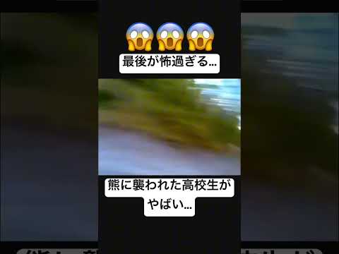 熊の恐ろしさが一目で分かる動画... #動物 #shorts