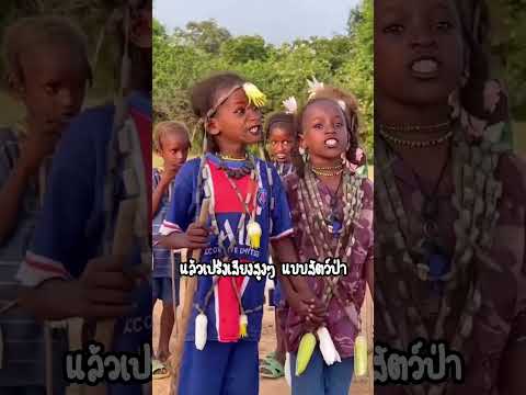 เกเรโว เทศกาลชายงามประจำชนเผ่า