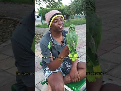Andrea deja botad0 este lor0🥹