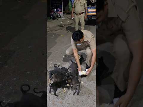 motivational #humanity #animaldog #shortvideo #trendingshorts #chiragraj7777