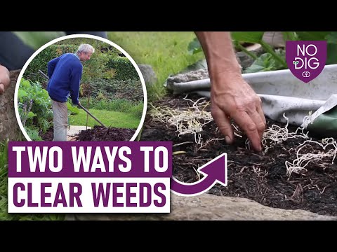 Conquer Weeds the No-Dig Way: Insights from Charles Dowding
