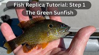 Green Sunfish Replica with Mr. R: Step 1