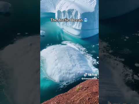 the arctic ocean