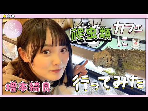 [Reptile Cafe] Kira Masumoto's love for reptiles exploded 🐍🦎 I tried to interact with 〇〇...!?