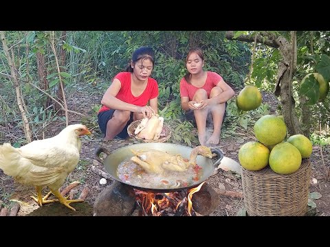 Survival in the rainforest, Catch and cook chicken for jungle food, Chicken braised tasty for lunch