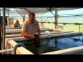 VIMS Alumni and Marine Science Insights