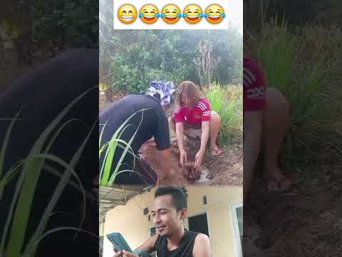 Jangan gagal fokus 😁😂😂