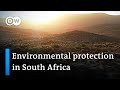 Conservation Efforts and Biodiversity Challenges