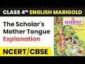 Understanding Mother Tongue and Language