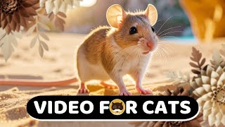 CAT GAMES - Big Sand Adventures! Hamsters, Mice, Chipmunks, Birds, Prairie Dogs | CAT & DOG TV.