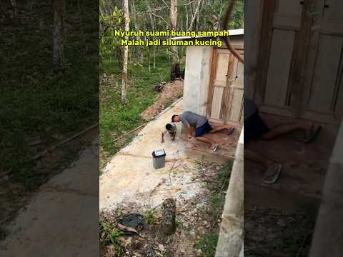 Nyuruh suami buang sampah malah jadi siluman kucing...