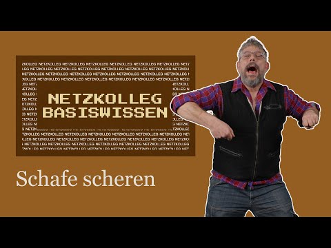 Netzkolleg Basiswissen - Schafe scheren (Grundlagen der Agraristik)