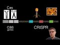 Understanding CRISPR and Its Applications