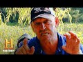 Cannibal Alligator Challenges in Fishing