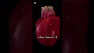 Ce que tu vois directement après la mort !