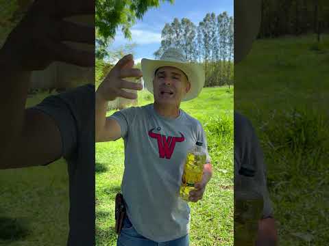 O que acontece se colocar óleo na ração do cavalo?