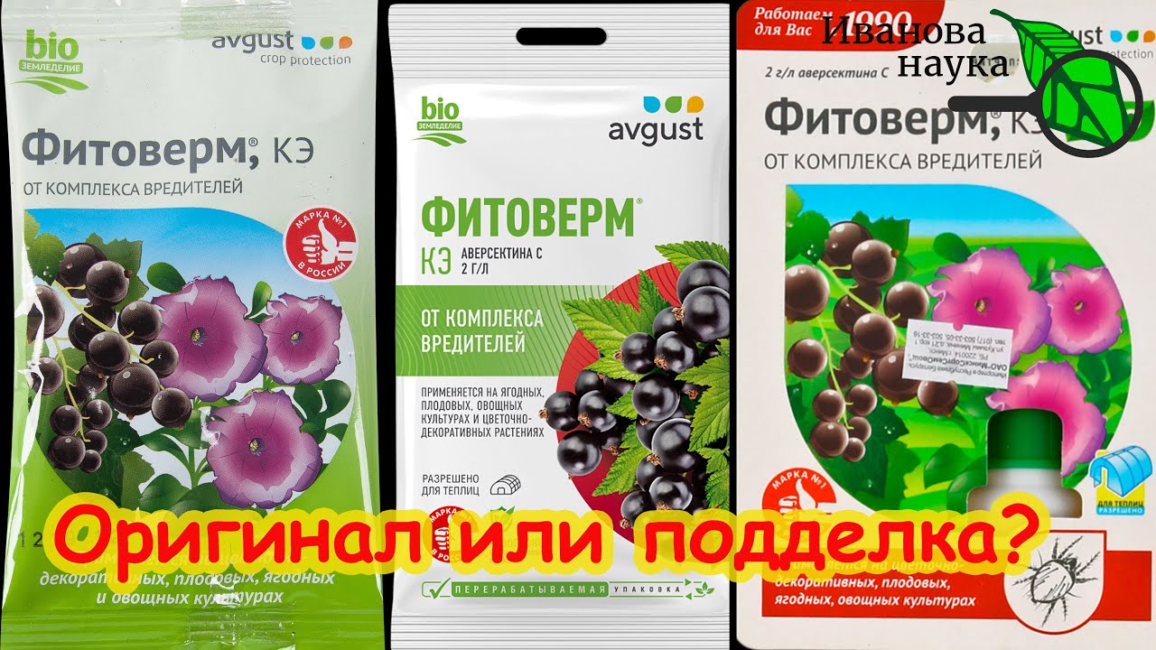 Как не купить подделку в сети на маркетплейсах wildberries, ozon и на базаре. Как отличить оригинал.