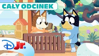🪛 Złóż to sam! | Blue | Disney Junior Polska