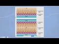 Exploring Membrane Permeability: The Case of Water