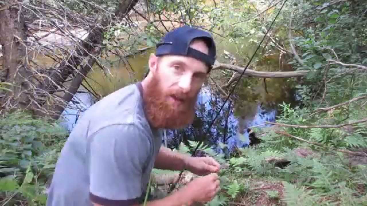How to Catch Brook Trout: Northern Edition (Part 2 of 4)