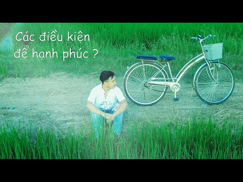 Các Điều Kiện Để Hạnh Phúc ?
